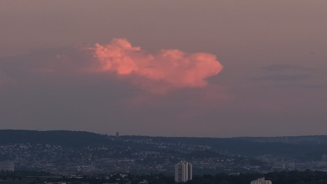 Ein roter Gedanke im Grau.